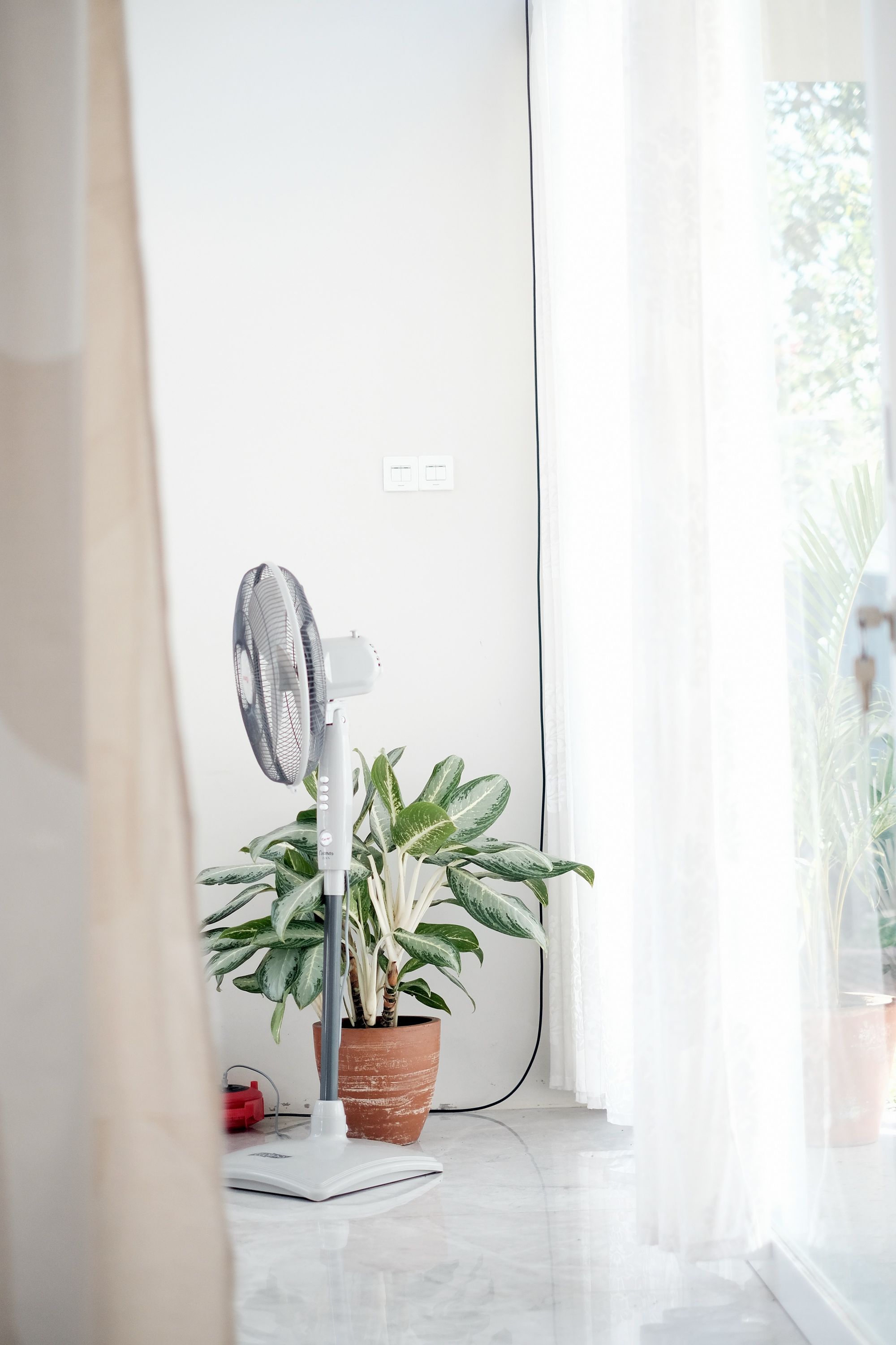 Shan Wong - Standing fans and ceiling fans, as well as air-conditioning, help to move air and keep the place dry.