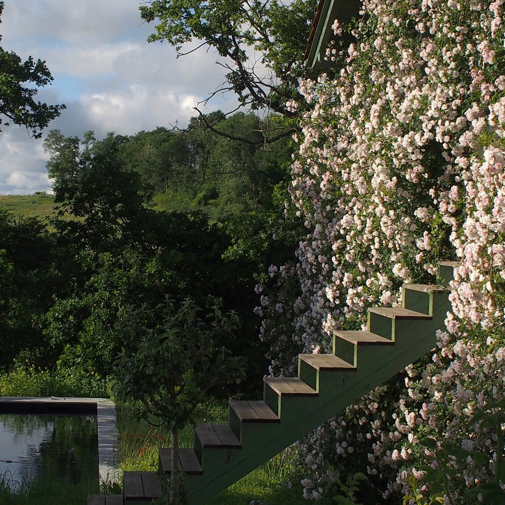 Inspiration: The Living Architecture of HOURRÉ: Where Nature Meets Design